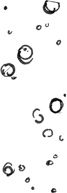 Bubbels
